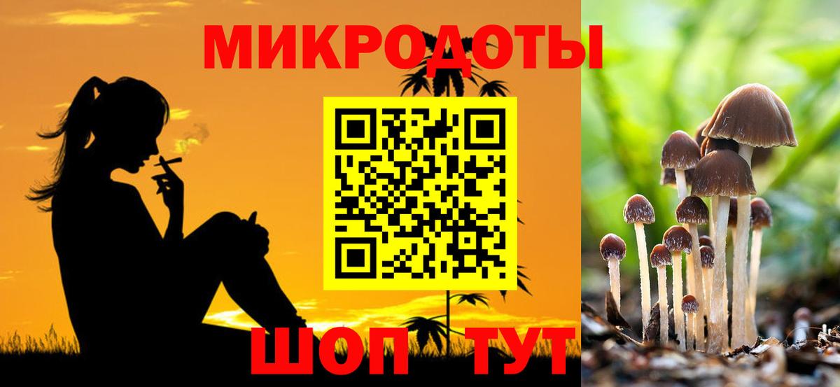 Псилоцибиновые грибы GOLDEN TEACHER  Псилоцибиновые грибы MAGIC MUSHROOMS  Вход с VPN  Кинешма 