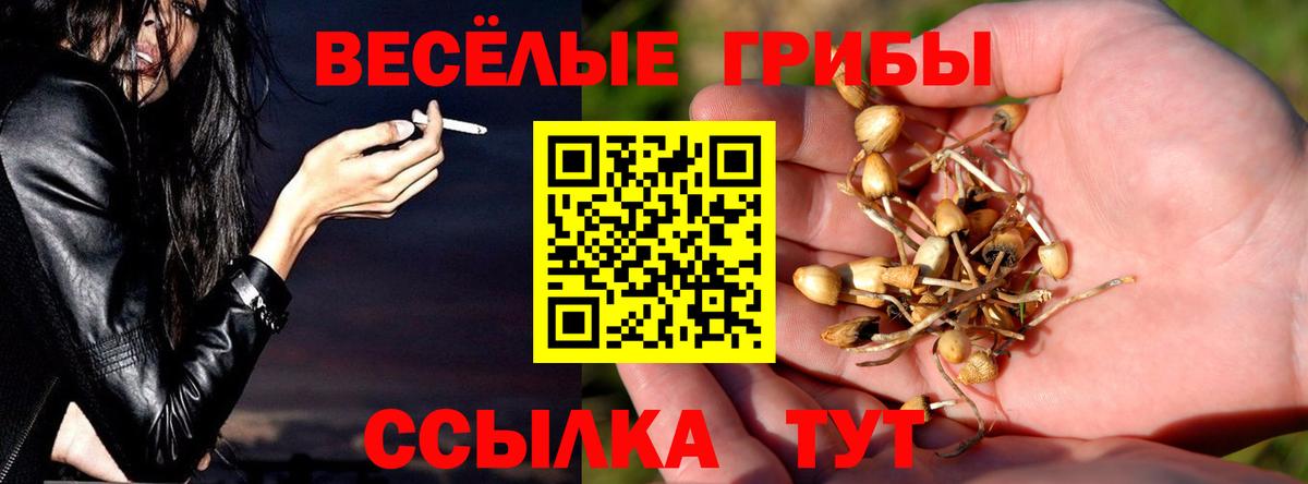 Мефедрон кристаллы  Канабис  Кинешма  ГАШИШ  Вход с VPN 